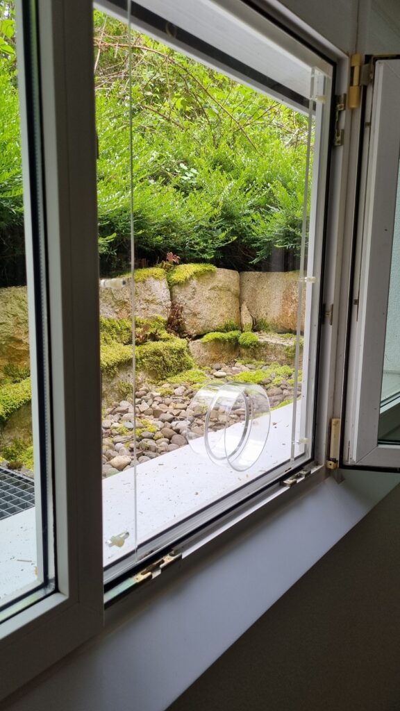 Klimafenster_beispiel-576x1024